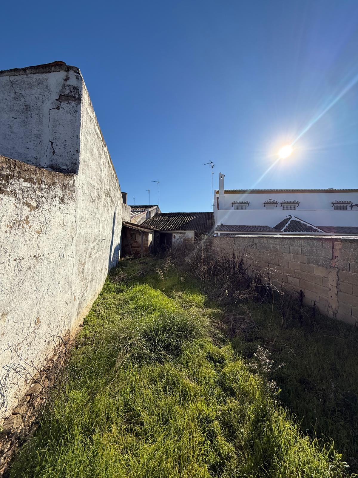 Casa / Chalet adosado en venta en Calle Doctor Mena, Villamanrique de la Condesa miniatura 3