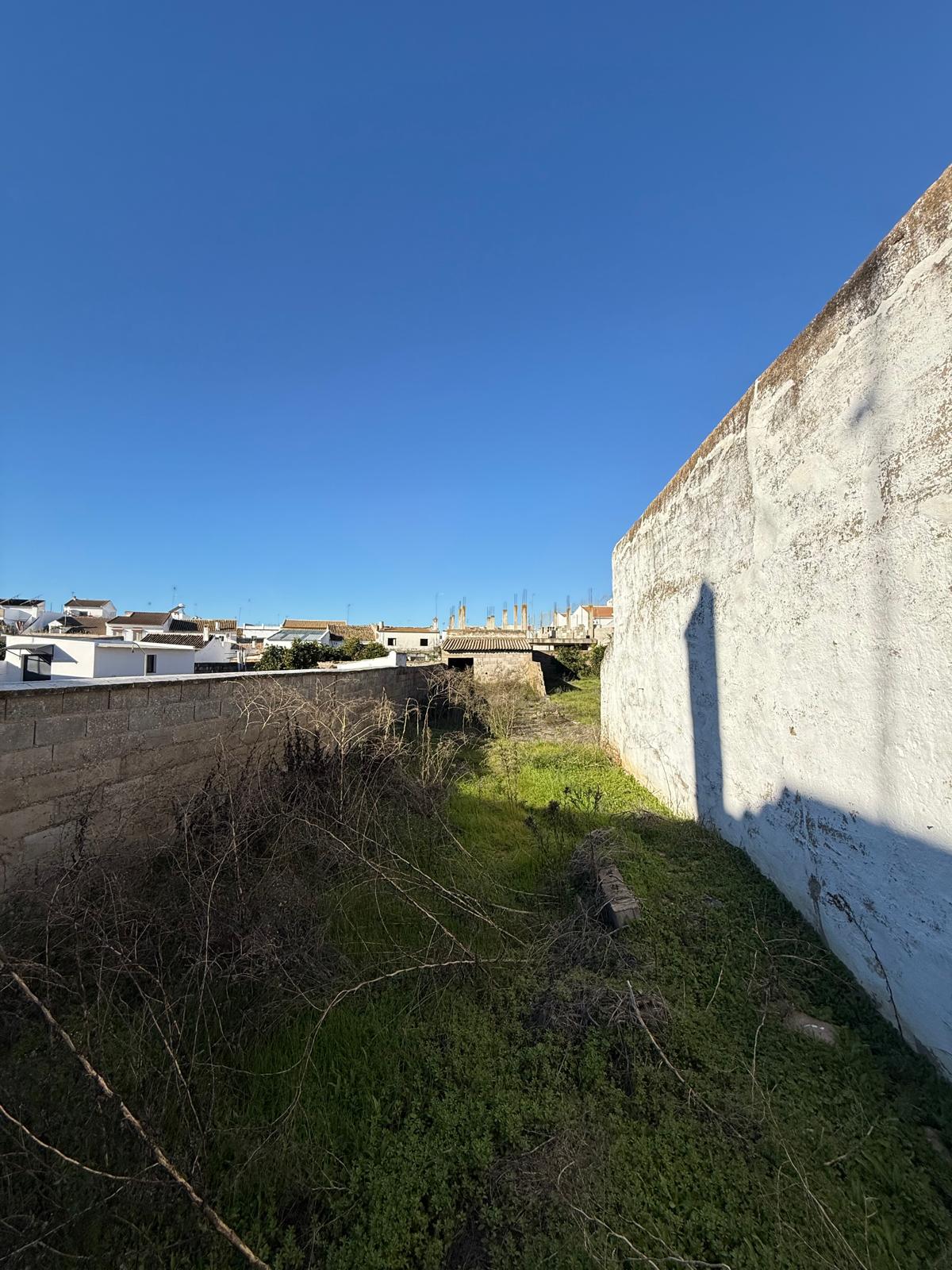 Casa / Chalet adosado en venta en Calle Doctor Mena, Villamanrique de la Condesa miniatura 10