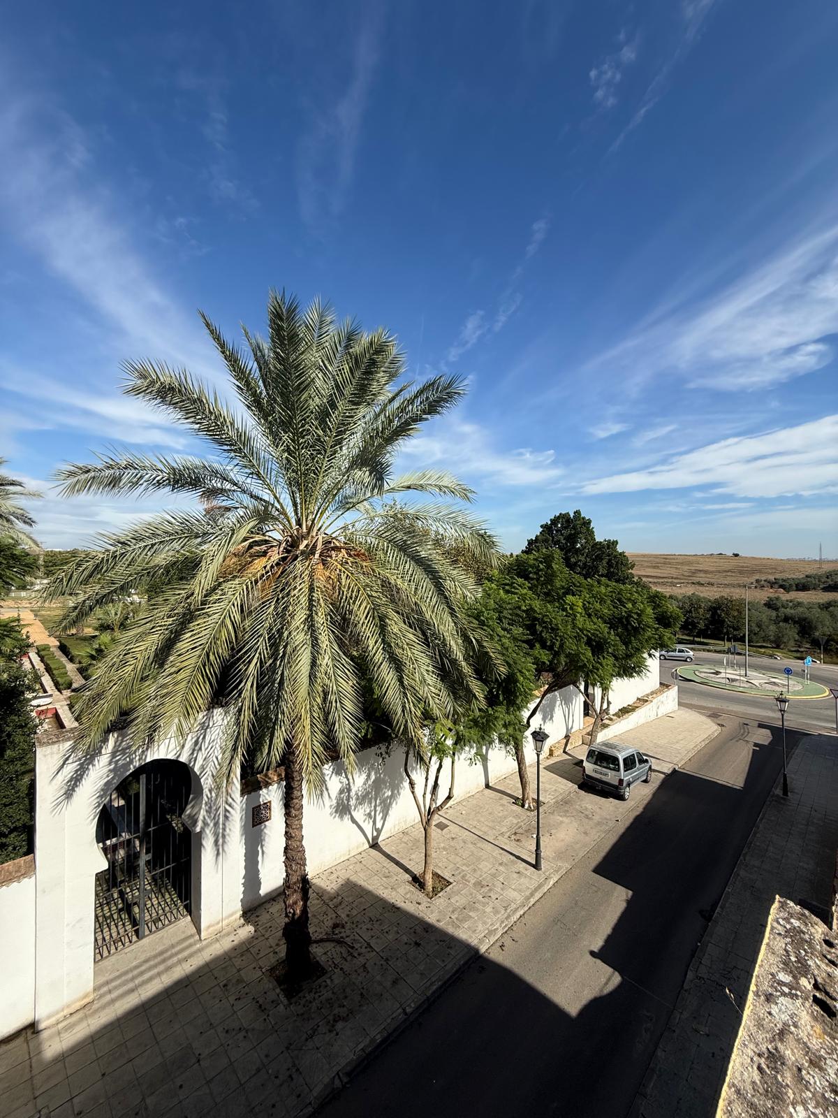 Piso en venta en Calle las Moreras, Palomares del Río miniatura 14